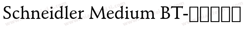 Schneidler Medium BT字体转换
